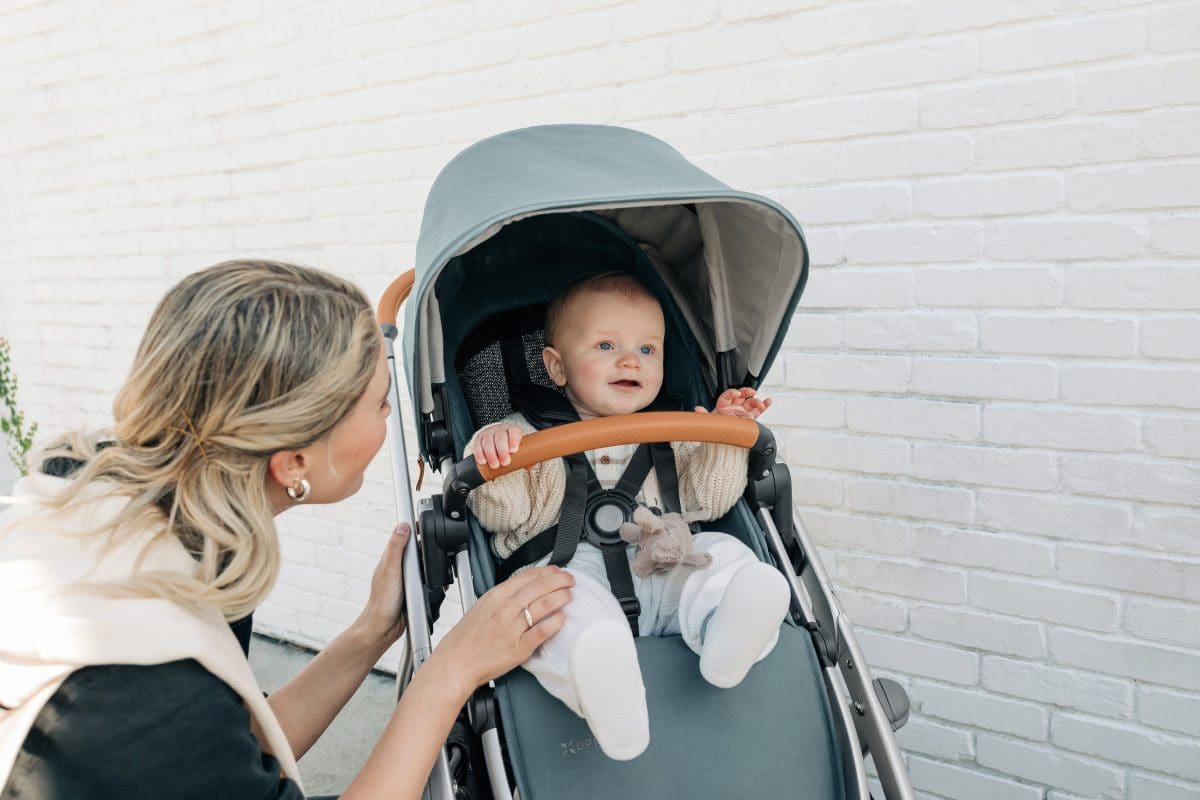 UPPAbaby Vista V3