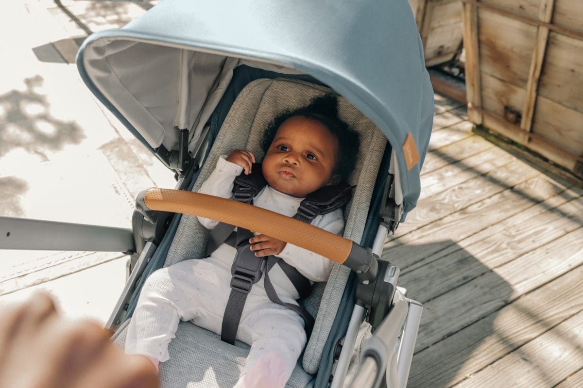 UPPAbaby Vista V3