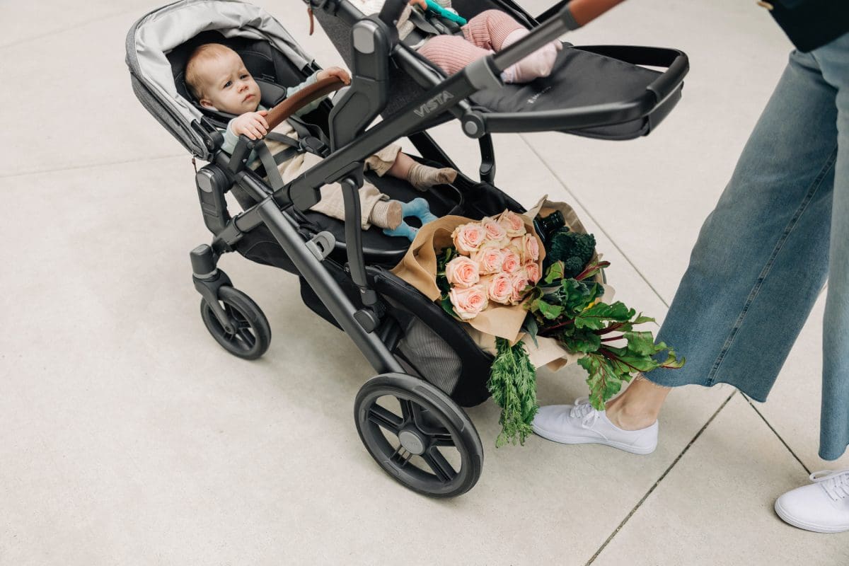 UPPAbaby Vista V3