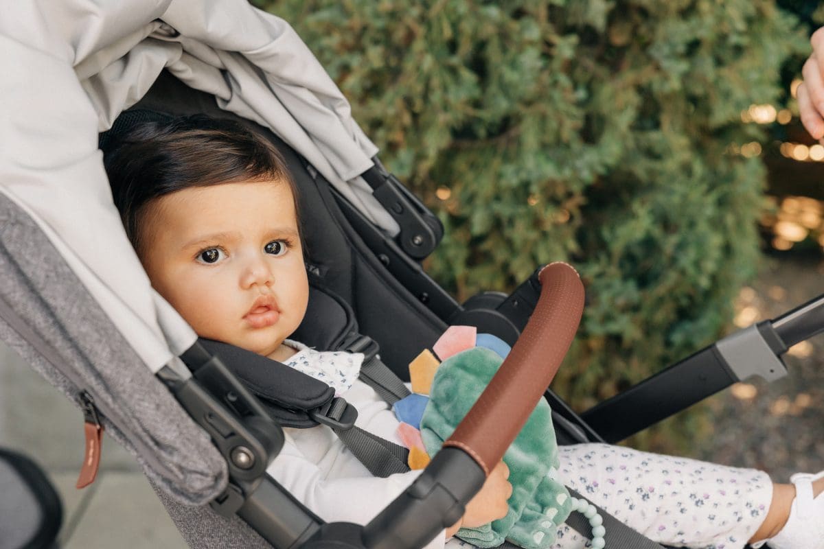 UPPAbaby Vista V3