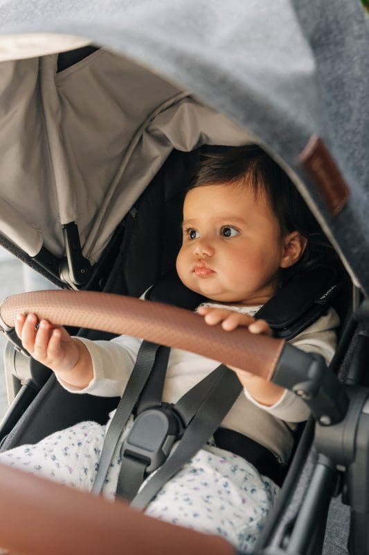 UPPAbaby Vista V3