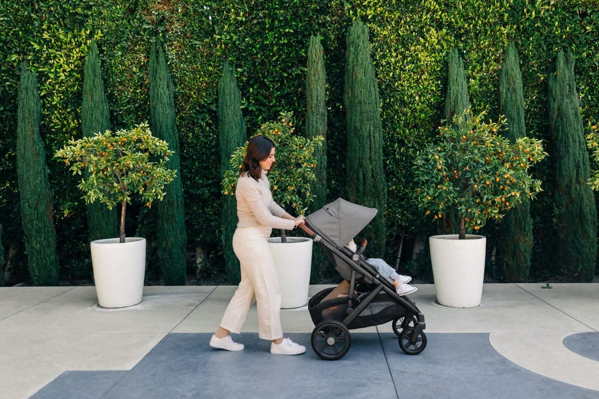 UPPAbaby Vista V3