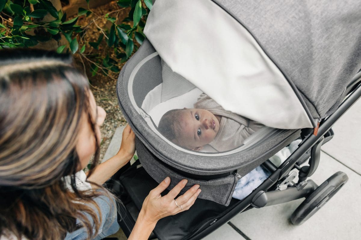 UPPAbaby Vista V3